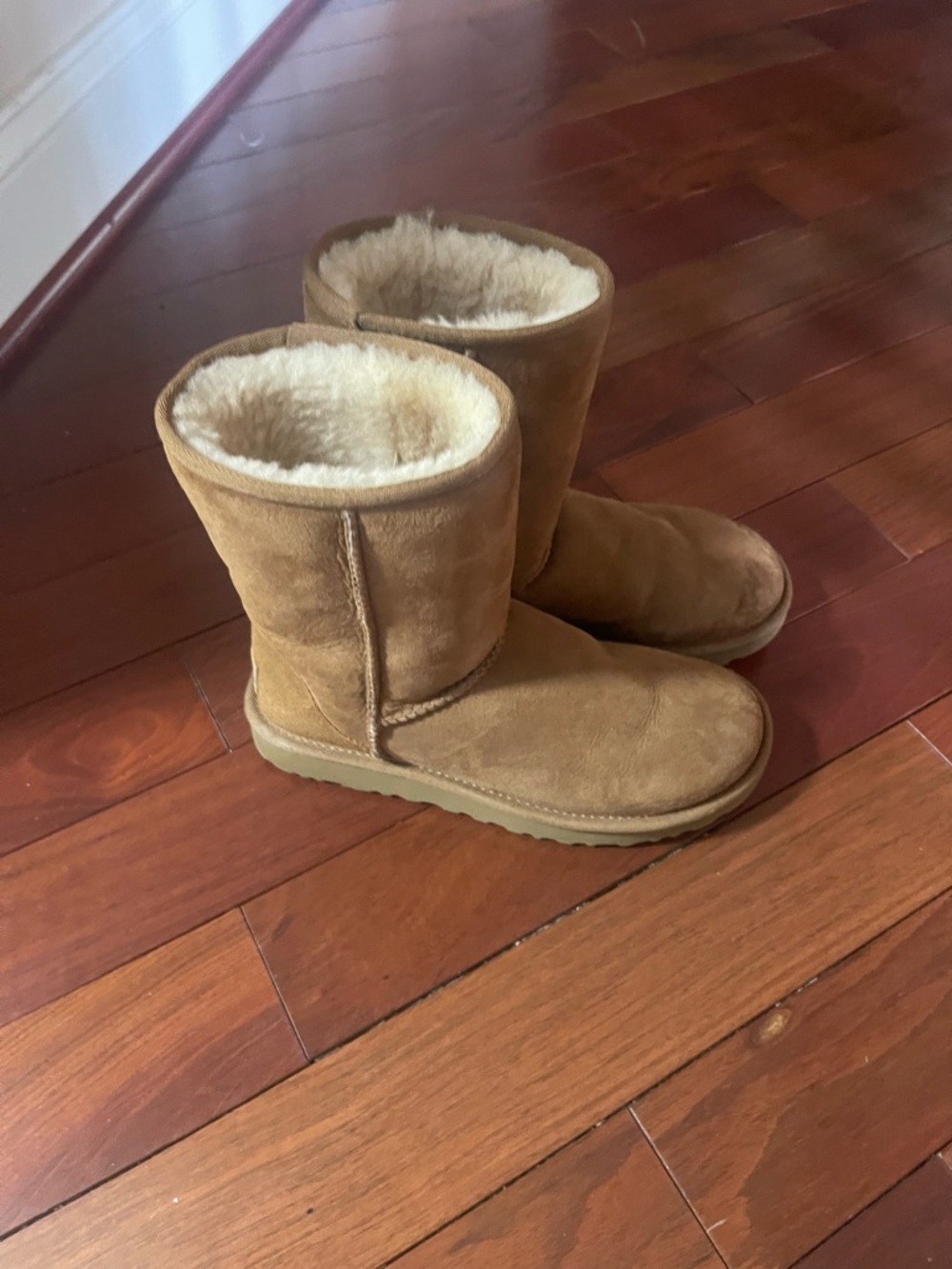 Classic Women's Ugg Boots - Chestnut